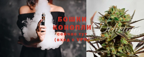индика Балабаново