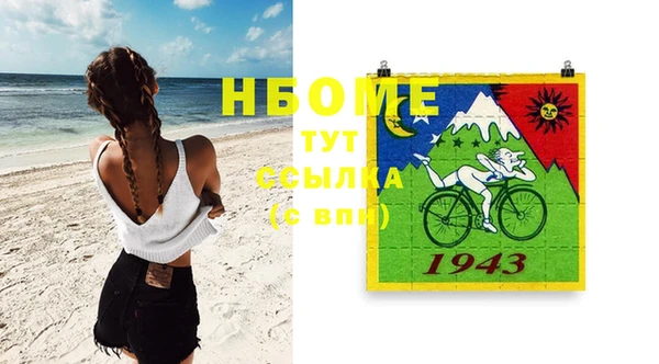 индика Балабаново