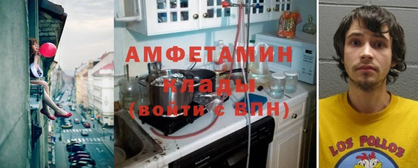 индика Балабаново