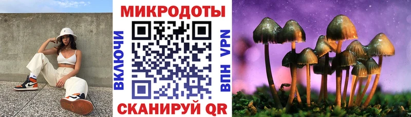 Купить  Старый Крым  Псилоцибиновые грибы GOLDEN TEACHER 